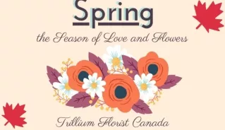 Season of Love and Spring Flower 2020 by Best Florist in Toronto