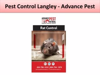 pest control langley advance pest