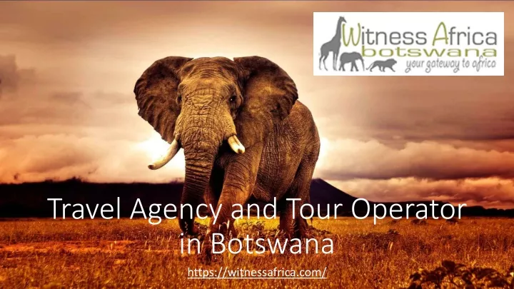 travel agency and tour operator in botswana