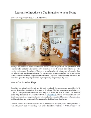 reasons to introduce a cat scratcher to your