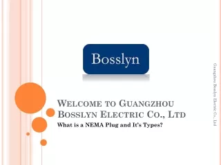 What is a NEMA Plug and It’s Types at bosslyn.com