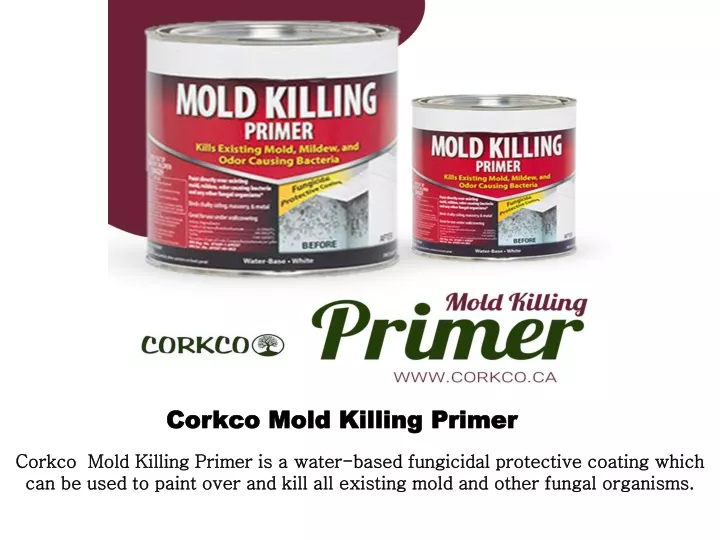 corkco mold killing primer