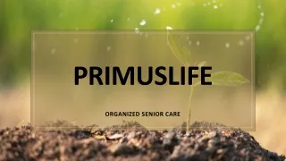 Primus life