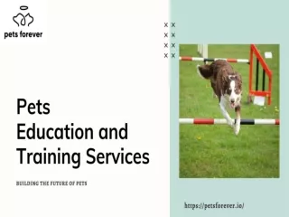 Pets education and training Services