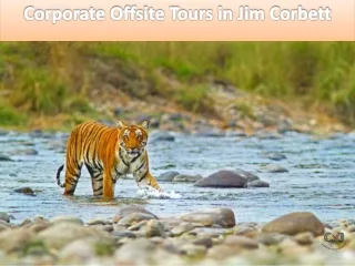 Corporate Weekend Getaways in Jim Corbett