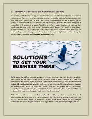 the custom software solution development plan