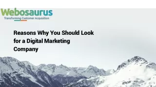 Reasons Why You Should Look for a Digital Marketing Company