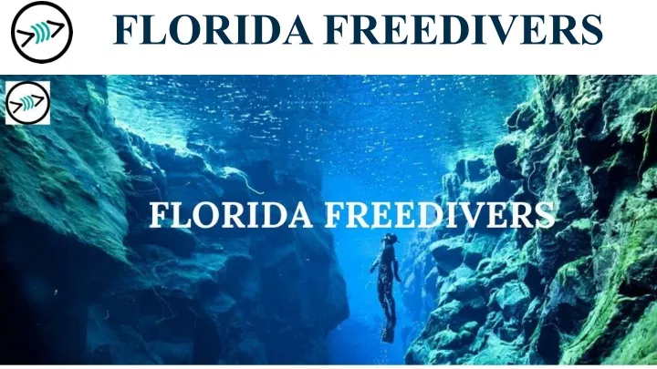 florida freedivers