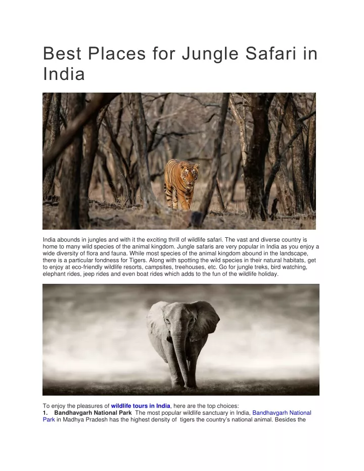 best places for jungle safari in india st places