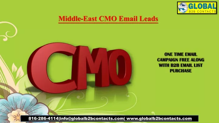 middle east cmo email leads