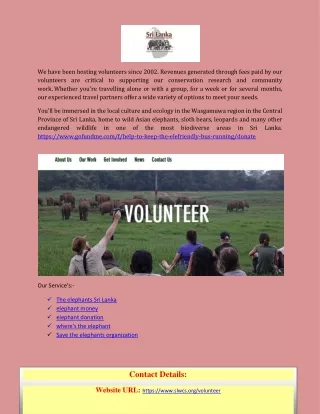 we have been hosting volunteers since 2002