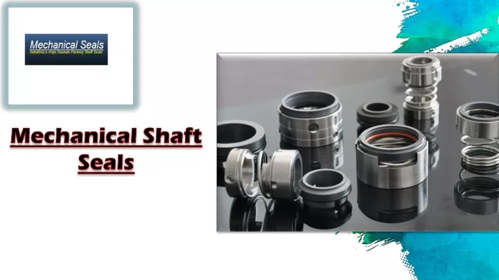 mechanical shaft seals