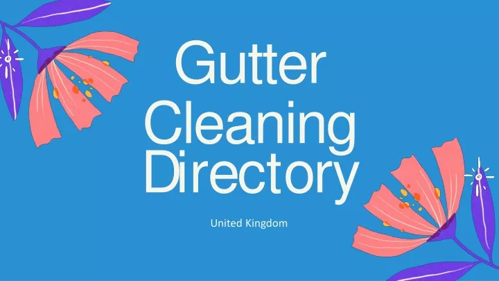 gutter cleaning d i r e c t o r y