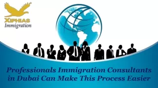 Professionals Immigration Consultants in Dubai Can Make This Process Easier