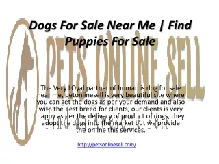 Dogs For Sale Near Me | Find Puppies For Sale | Petsonlinesell  1 323 553 1481
