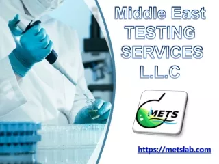 middle east testing services l l c