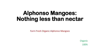 Alphonso mangoes- Nothing less than nectar