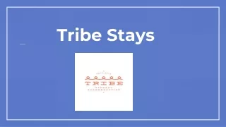 tribe stays