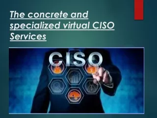 The concrete and specialized virtual CISO Services