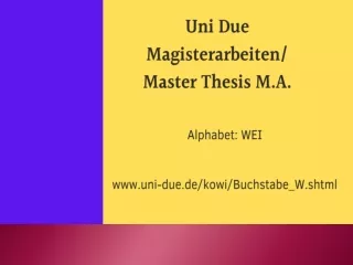 Uni Due Magisterarbeiten / Master Thesis M.A.