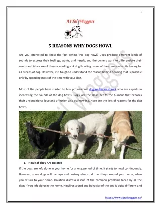 http://www.mediafire.com/file/3hnu2eoup2gg27t/5_REASONS_WHY_DOGS_HOWL.pdf/file