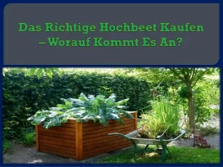 Das Richtige Hochbeet Kaufen – Worauf Kommt Es An?