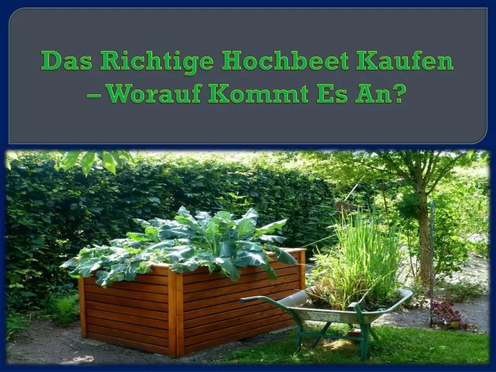 das richtige hochbeet kaufen worauf kommt es an