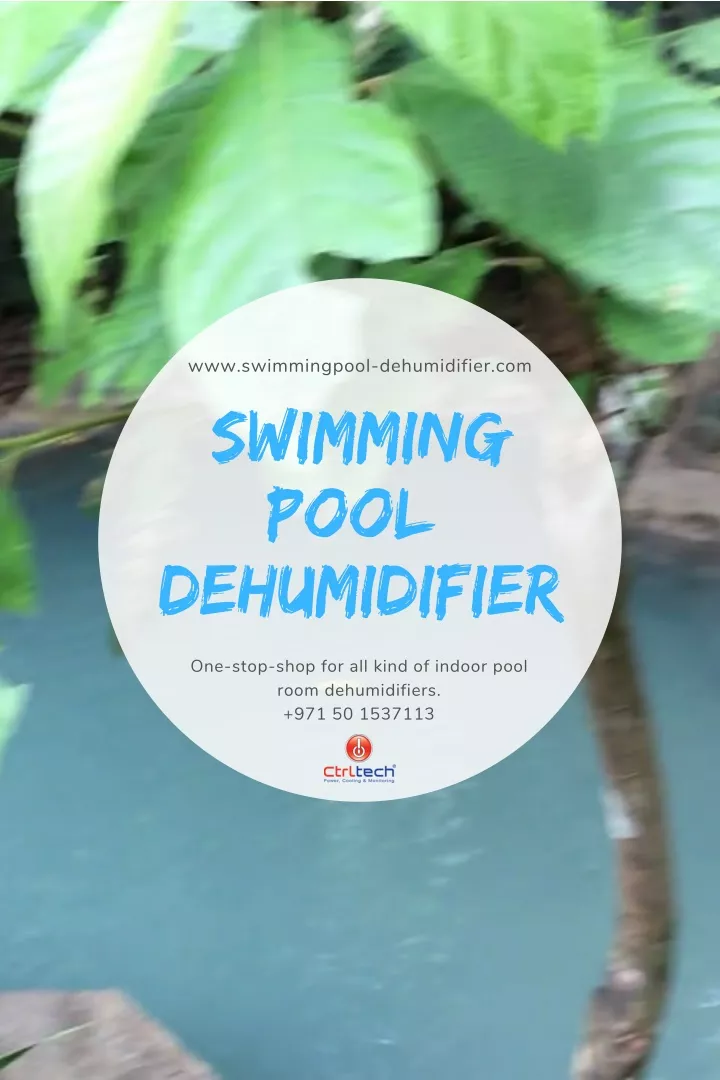 www swimmingpool dehumidifier com