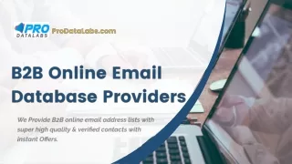 B2B Online Email Database Provider