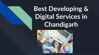 Best Developing and Digital Services in Chandigarh.