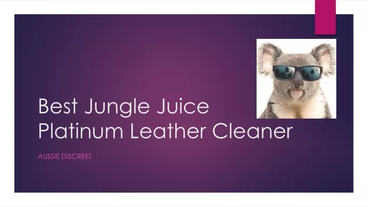 best jungle juice platinum leather cleaner