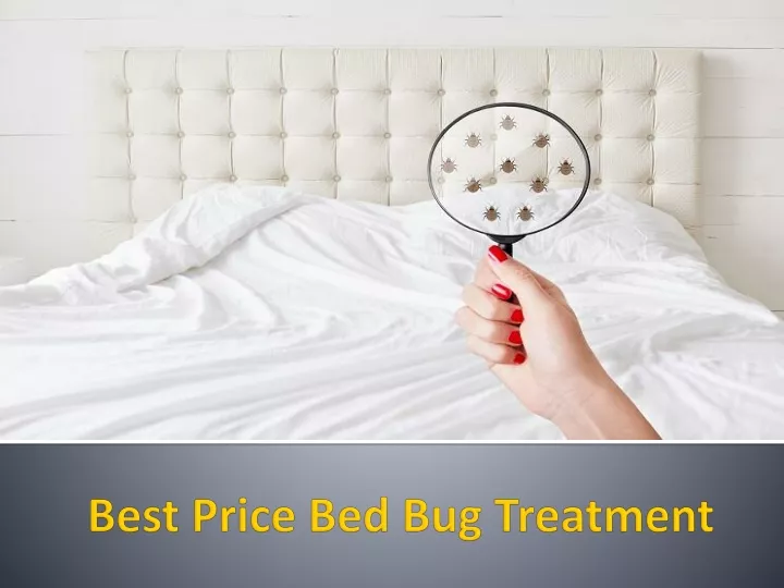 best price bed bug treatment