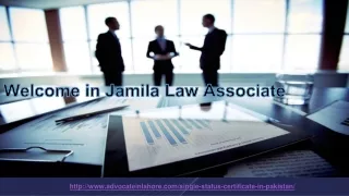 Get Female Lawyer For Get The Single Status Declaration Certificate In Pakistan