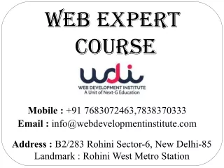 Best Web Design And Web Development Institute Delhi