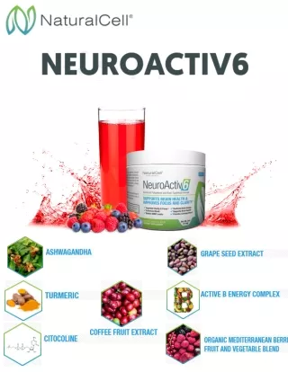 NeuroActiv6 Powder 6 Bottle One-Time Supply PDF EBook Download