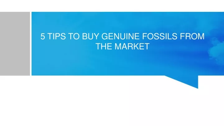 5 tips to buy genuine fossils from the market