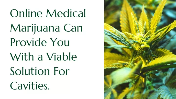 online medical marijuana can provide you with