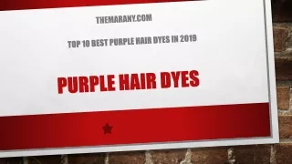 Top 10 Best Purple Hair Dyes