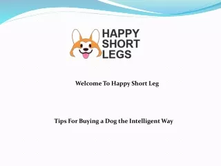 Tips For Buying a Dog the Intelligent Way
