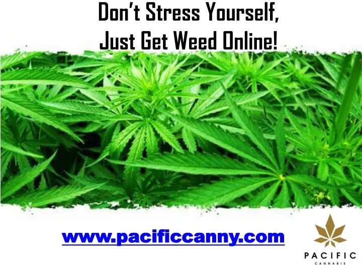 don t stress yourself just get weed online