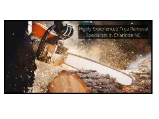 TREE REMOVAL SPECIALISTS IN HIGHLY EXPERIENCED CHARLOTTE NC
