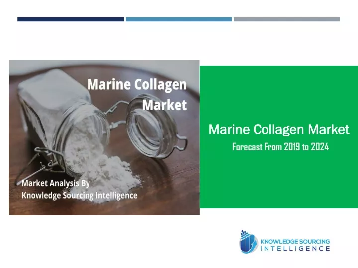 marine collagen market forecast from 2019 to 2024