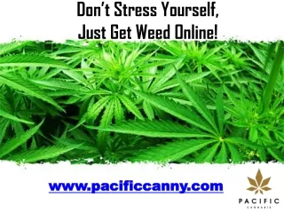 Don’t Stress Yourself, Just Get Weed Online!