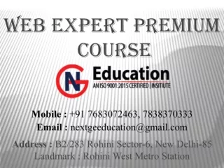 Best SEO Training Institute in Rohini