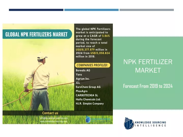 npk fertilizer market forecast from 2019 to 2024