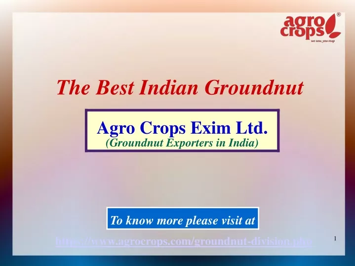 the best indian groundnut