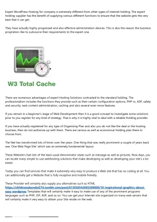 expert wordpress hosting for company is extremely