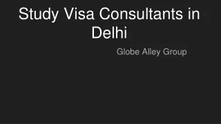 Study Visa Consultants in Delhi