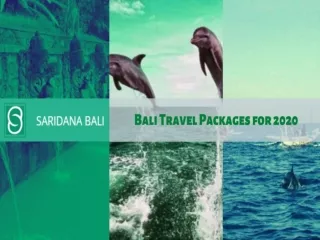 Exclusive Bali Travel Packages for 2020 | Saridana Bali Transport