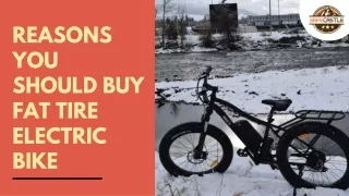 Reasons To Buy Fat Tire Electric Bike | Safecastle
